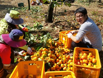 (2014.10.23)청도축협 및 자원봉사센터 농촌일손돕기-매전면 내리 농가